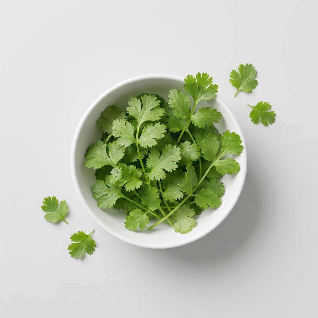Coriander
